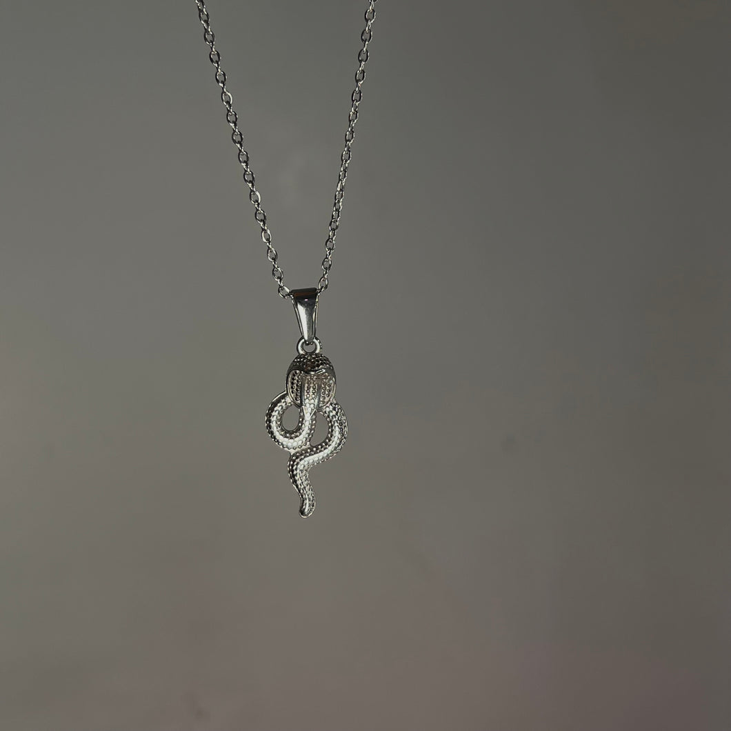 Silver Slimee Necklace